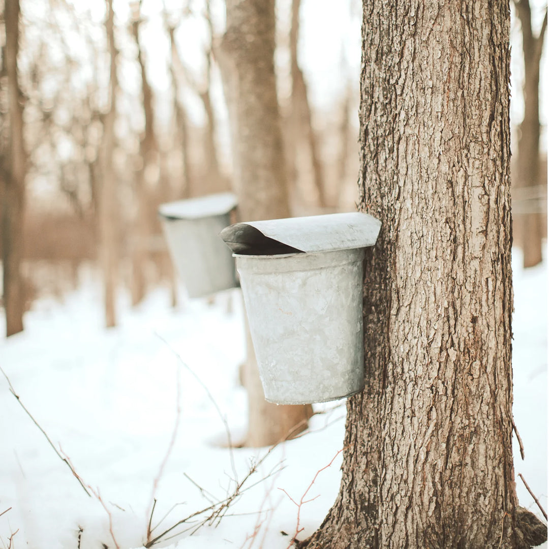 "Morning Retreat" Limited Edition Gift Box